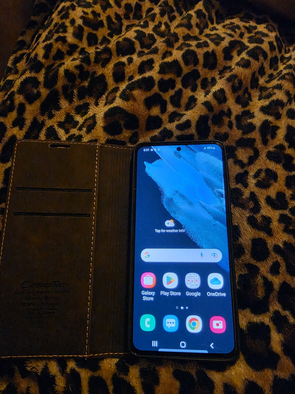 Samsung Galaxy 21 5G/ Case